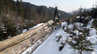 Leistung und Kraft