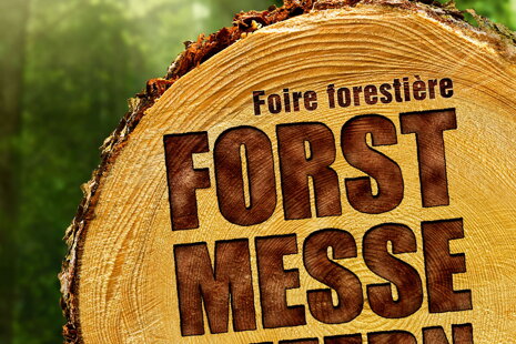 Forstmesse 15. - 18. August 2019 - Luzern